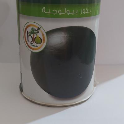 Pastèque giza 100gr