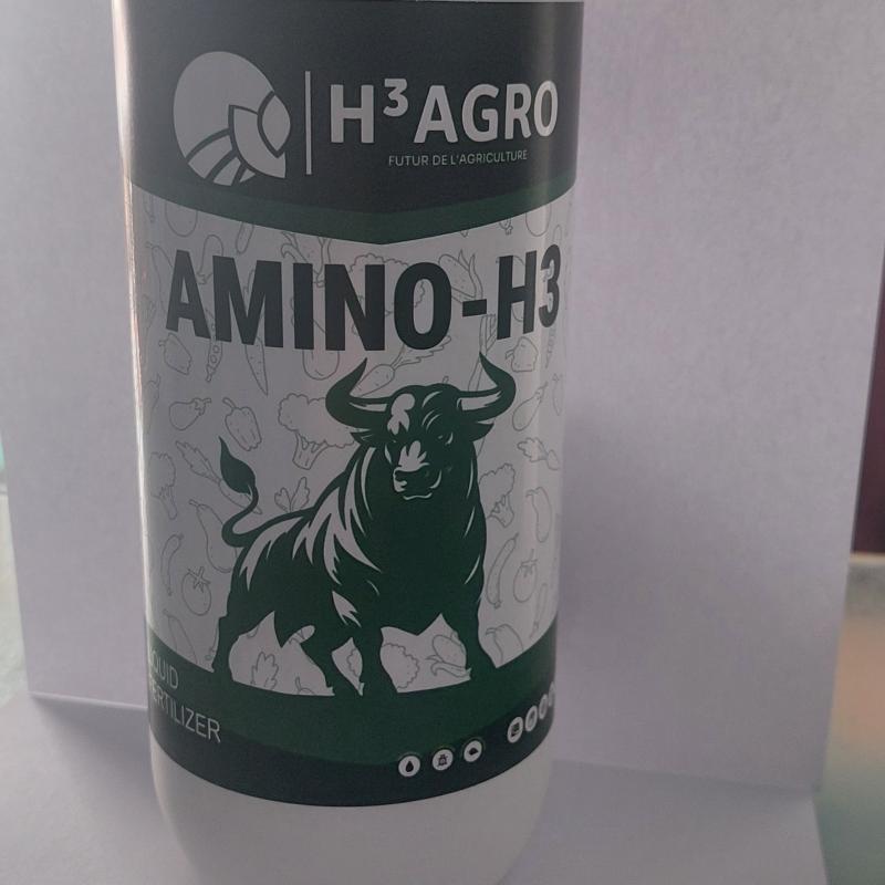 Amino H3 1L
